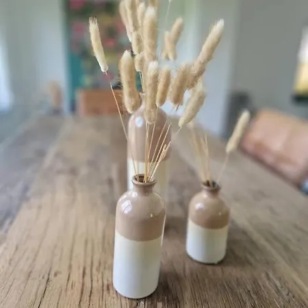 Historische Mit Garten, Luxus