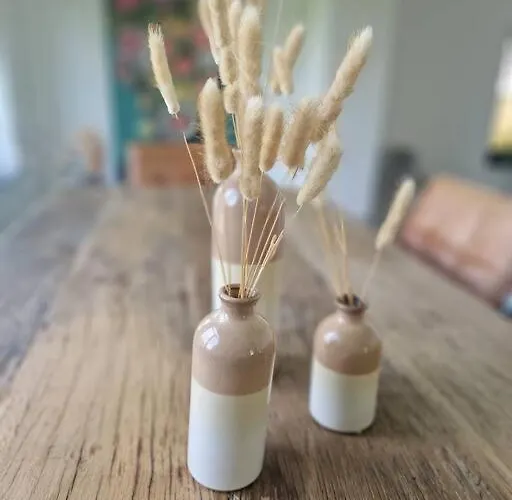 Historische Mit Garten, Luxus