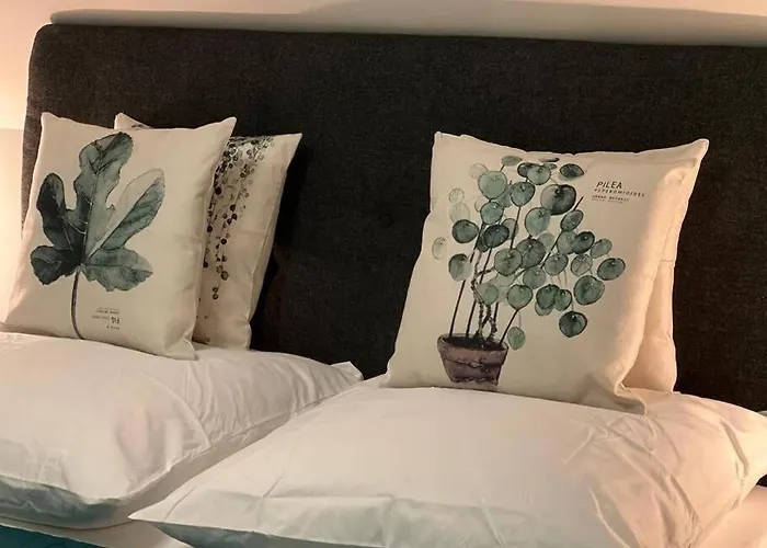 Apartman Historische Mit Garten, Luxus